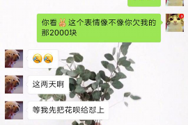 合肥企业清欠服务